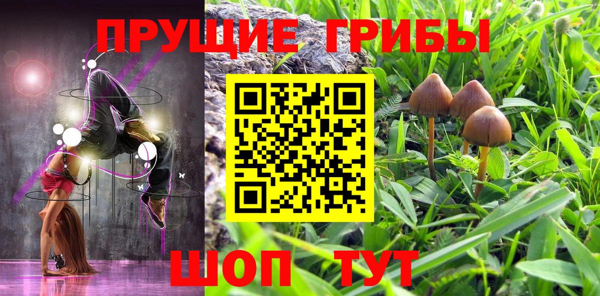 Галлюциногенные грибы мухоморы Северобайкальск