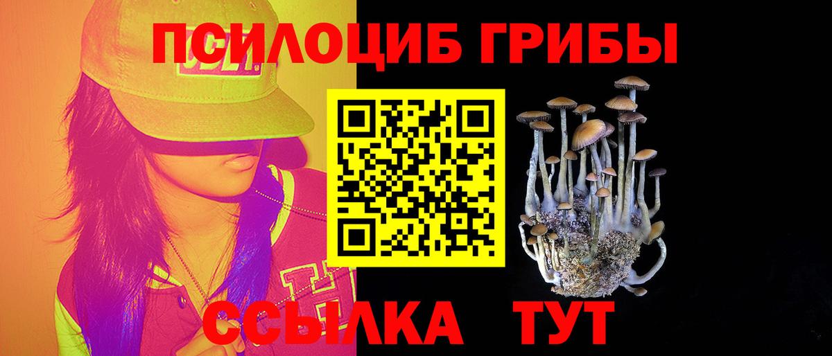 Северобайкальск  Псилоцибиновые грибы мухоморы  Вход с VPN 